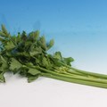 這些菜葉能防癌、降血壓、降膽固醇 可惜很多人都扔掉了 !