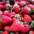 教你自製草莓醬 ! 又到了草莓大量上市的季節了 !