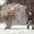 長得和拖把超像的狗狗在雪地奔跑，它和小主人玩樂的畫面療愈人心 !