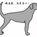 狗狗的尾巴方向，代表的幾種意思