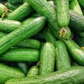 黃瓜是排毒高手！常吃還有助於預防腎結石！