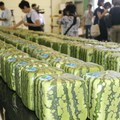 遊客在日本花上萬元買方形西瓜圖新鮮 然而結果卻讓他大失所望！