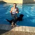 主人帶著狗狗們去游泳，但是小狗不想游泳，它只能選擇這麼做了