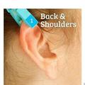 用夾子夾在耳朵上不同的位置，就可以有效地給身體各個部位緩解疼痛。