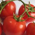 多吃番茄有哪些好處？多吃番茄健康多