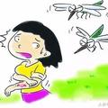 被蚊子叮的滿腿是包，原來這3種蚊子攜帶病菌可致人死亡