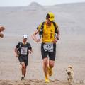 流浪狗誤闖馬拉松比賽，把運動選手當主人，陪伴跑了250公里