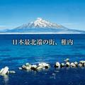 日本最北端夢幻小島游丨北海道禮文利尻島