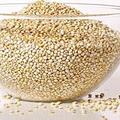揭秘丨藜麥的9大營養價值