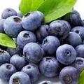健康｜藍莓護眼防癌抗衰老，怎麼吃最好？