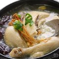 雞湯是公認的「營養寶庫」：4種人要儘可能多吃