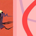 「秋蚊子」戰鬥力爆表！確認過眼神，這5類是蚊子偏愛的人