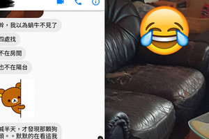 以為狗狗不見了她心急如焚的到處找，沒想到牠竟然一副「你在找什麼啊」的表情隱身在這裡...