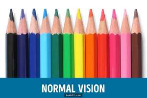 12張圖讓大家徹底理解色盲者的世界 !