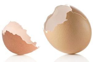 很多人會隨手丟掉蛋殼，其實今天要告訴你，蛋殼千萬不要扔！它的用處非常大！