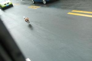 狗狗拚命冒雨追車，老人在車上不理睬，原來真相是這樣子的...