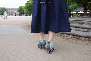 日本女人DIY鴿子高跟鞋 背後的原因好暖心啊！