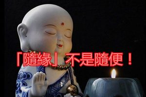 「隨緣」不是隨便！我們在生活中，經常說起「隨緣」兩個字。