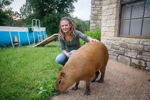 美國夫婦飼養了一隻上百斤的「大老鼠」，貓見了就跑，溜「老鼠」路人回頭率百分之百  原文網址：https://kknews.cc/pet/2mkzx9y.html