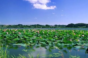 河北有哪些「碧水藍天」的地方值得一去?