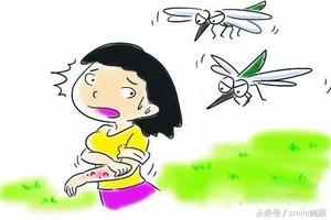 被蚊子叮的滿腿是包，原來這3種蚊子攜帶病菌可致人死亡