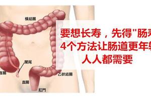 健康｜先腸壽！再長壽！4方法讓腸道更年輕！