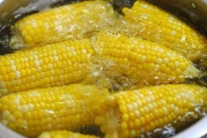 煮玉米應該涼水下鍋還是熱水下鍋？很多人做錯，所以煮出來不好吃