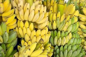 吃香蕉可以緩解便秘？這些年你可能都錯了