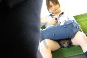 那些捷運上的獵奇事件 我這輩子還沒親眼見過...