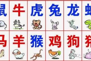  史上最全的屬相婚配表！真的是太準了啊！（珍藏）