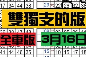 3月16日六合彩 雙獨支的版‵‵‵‵‵［四] 全車牌