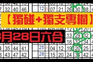 3月28日六合彩 【獨碰+獨支專欄】天機數~港號