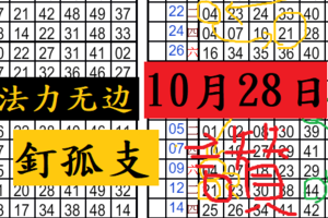 10/28 六合 法力無邊 同數 部定位