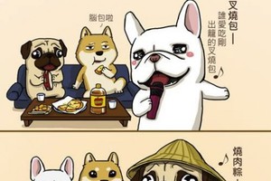 我是一隻小小柴