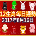 【每日運勢】12生肖之每日運勢2017年8月16日