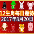 【每日運勢】12生肖之每日運勢2017年8月20日 