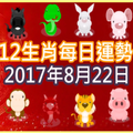 【每日運勢】12生肖之每日運勢2017年8月22日 