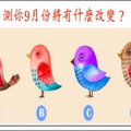 【神彩鳥占卜】直覺選一隻鳥，測你9月份將有什麼改變？ 