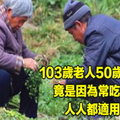 103歲 老人50歲 器官，竟是因為常吃 它 它 它！ 人人都適用 !