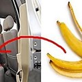 她吃完香蕉隨手把皮扔在車內，第二天打開車門驚呆了！真是沒想到啊！！！