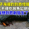 男子海邊釣到奇怪龍蝦，捨不得吃放魚缸飼養沒想到悲劇發生了！