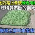 汽車司機在公路上發現「綠色海綿」，上前查看後竟發現海綿的體積還在不斷的擴大，嚇得他立即叫來警察！