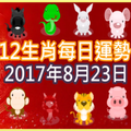 【每日運勢】12生肖之每日運勢2017年8月23日