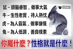 十二生肖所代表著的截然不同的性格 你 屬 什 麼？性 格 就 是 什 麼？很 準 哦！