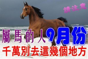 屬馬的人9月份~千萬別去這幾個地方了！【請你迷信一回吧】 