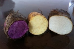 長知識了！白薯、黃薯、紫薯，誰的營養更好？結果出乎意料！