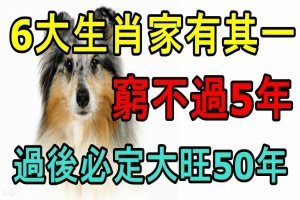 6大生肖家有其一，窮不過5年，過後必定大旺50年！