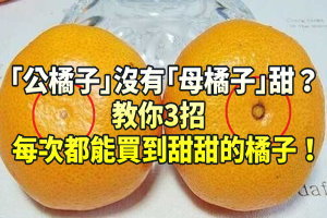 「公橘子」沒有「母橘子」甜？教你3招，每次都能買到甜甜的橘子！