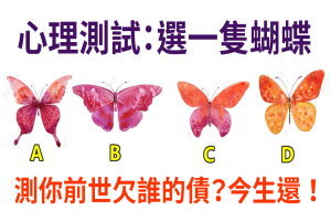 心理測試：4隻蝴蝶你最喜歡哪隻？測前世你欠誰債今生一定要還？