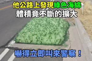 汽車司機在公路上發現「綠色海綿」，上前查看後竟發現海綿的體積還在不斷的擴大，嚇得他立即叫來警察！